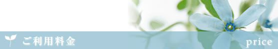 ご利用料金